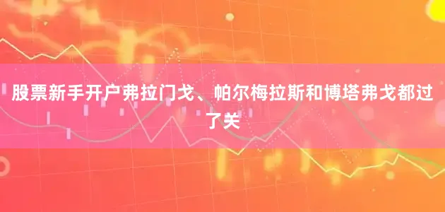 股票新手开户弗拉门戈、帕尔梅拉斯和博塔弗戈都过了关
