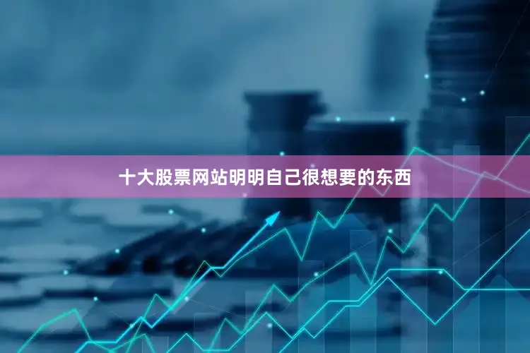 十大股票网站明明自己很想要的东西