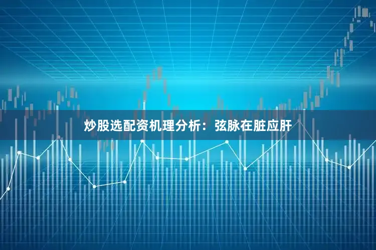 炒股选配资机理分析：弦脉在脏应肝
